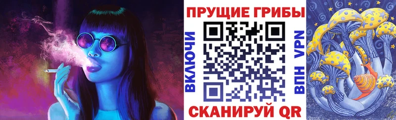 мориарти телеграм  Нолинск  Галлюциногенные грибы MAGIC MUSHROOMS  omg ссылка 